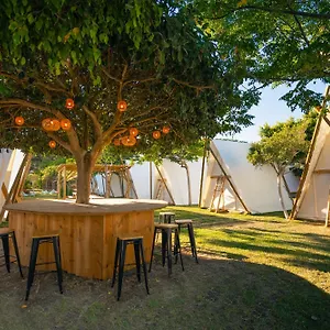 https://jaimas-safari-los-caos-trafalgar-cdiz.es-andalucia.com