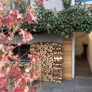 Spa&wellness Gerda Apartment